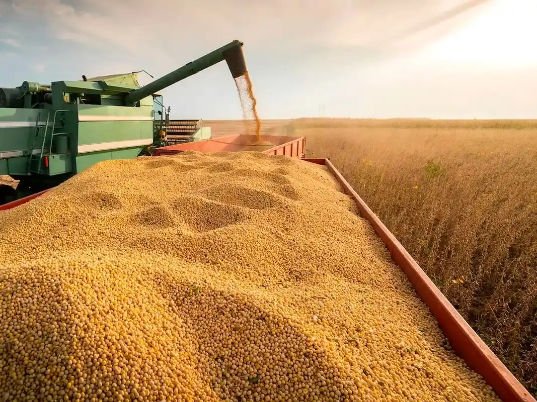 Pese a la baja de las retenciones, la confianza del agro cae 15% en 2025 y la inversión se desploma 59%