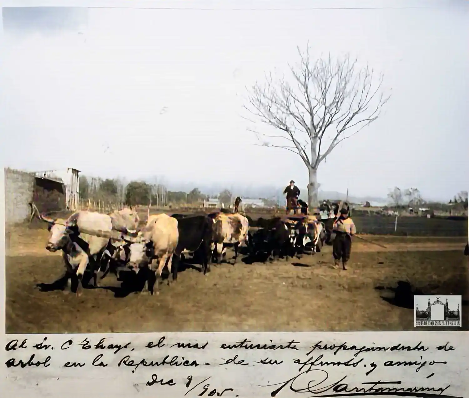 Una foto de Santamarina a Thays, en 1905, desde Tandil