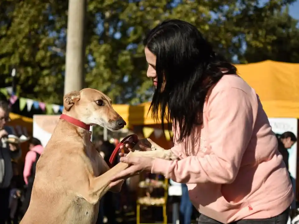 Una joven venadense con su mascota en una de las celebraciones por el Día del Animal. Foto: Archivo