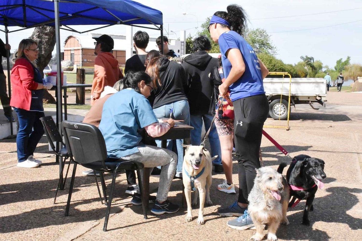 Remarcan la importancia de vacunar las mascotas contra la rabia