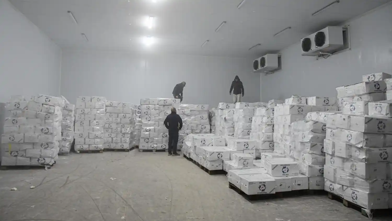 Realizaron un decomiso en un gran depósito.