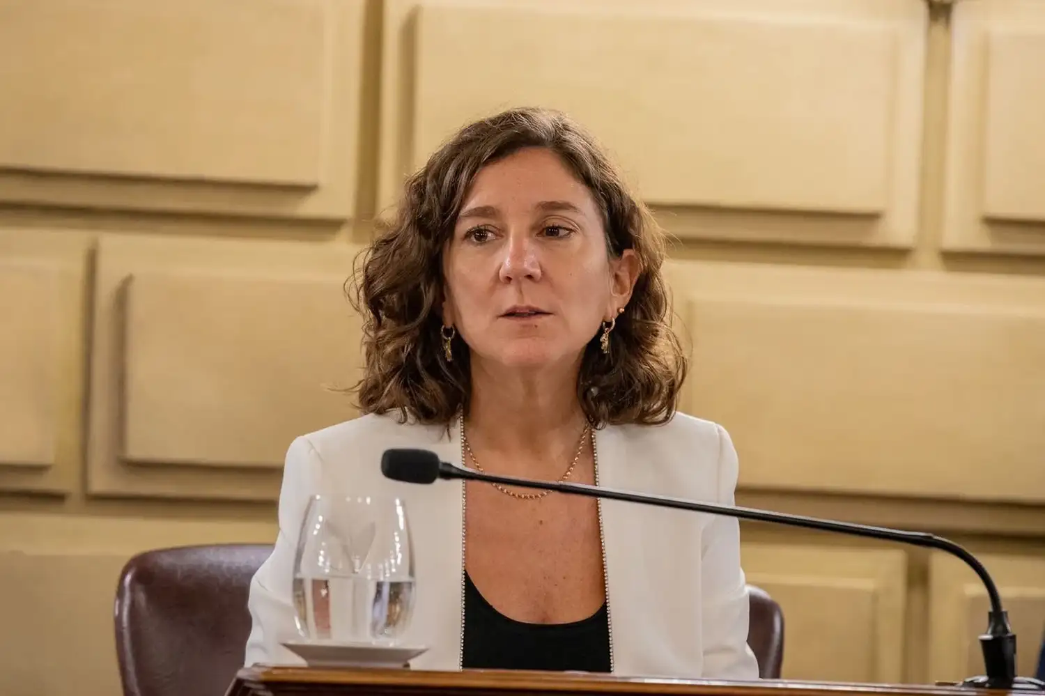 La senadora provincial adelantó una muy buena noticia para el departamento General López.