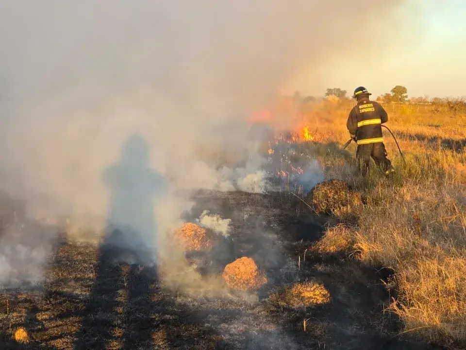 Incendio de pastizales afectó 62 hectáreas al norte de la ruta 70