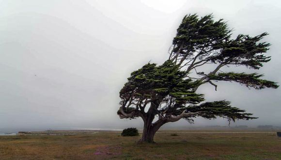 Alerta meteorológica nivel naranja por vientos fuertes para Claromecó, Reta y Orense
