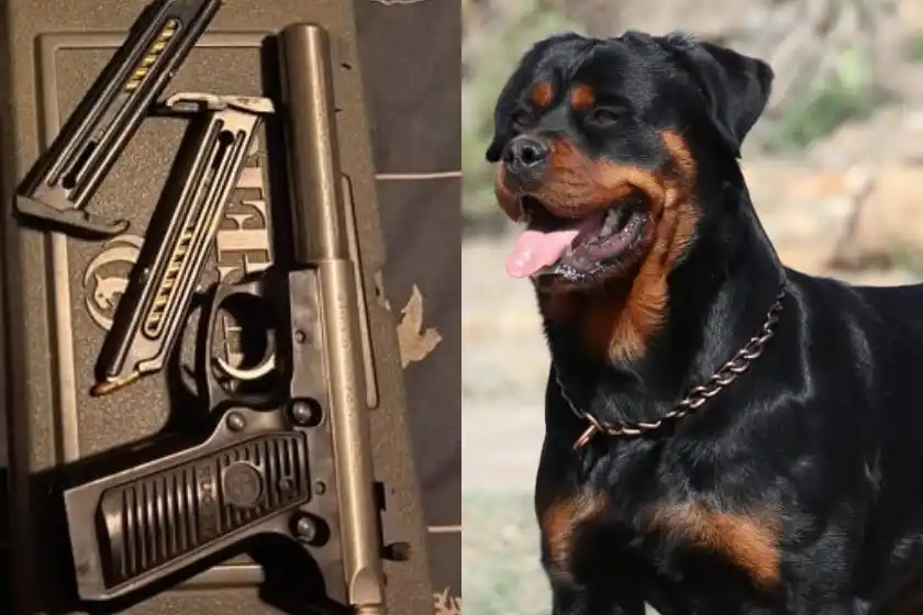 Lo detuvieron por amenazar a un vecino con una pistola y su perro enfrentó a la Policía