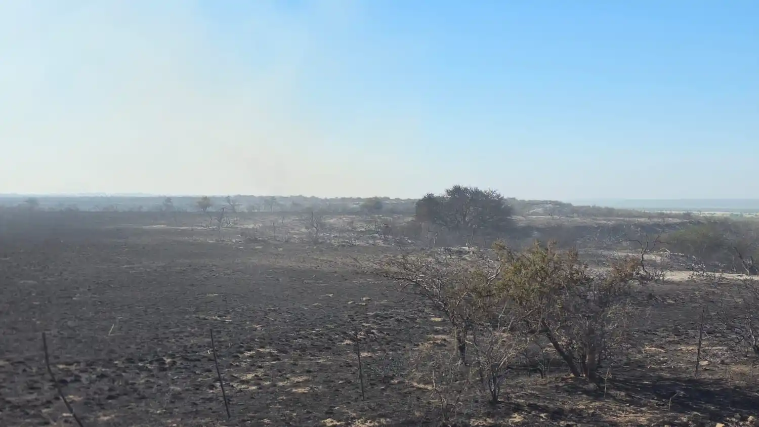Incendio forestal en Puan
