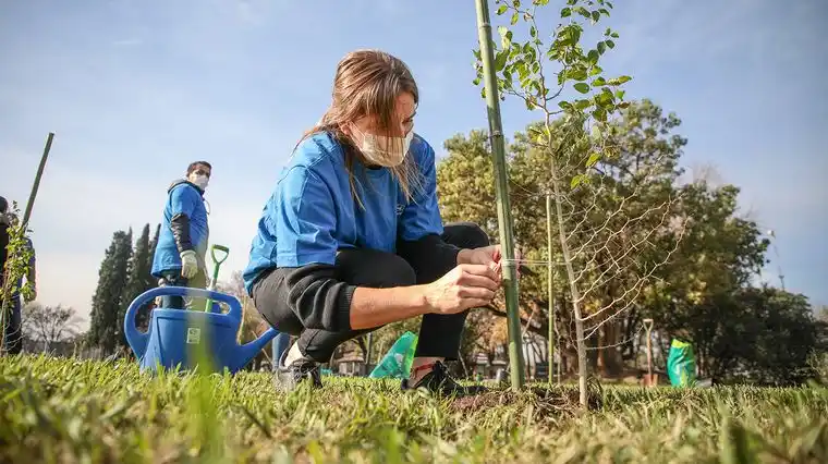 El país perdió el 70 por ciento de sus bosques nativos y la reforestación se torna un ejercicio esencial