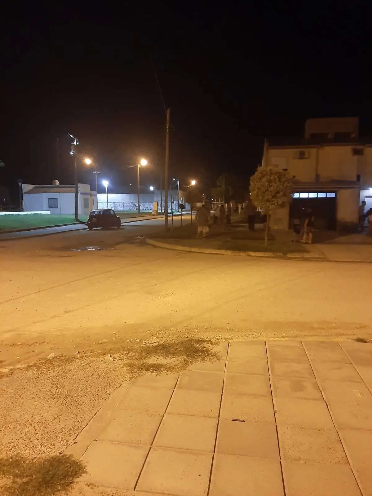 Pagó el perro: lo mataron