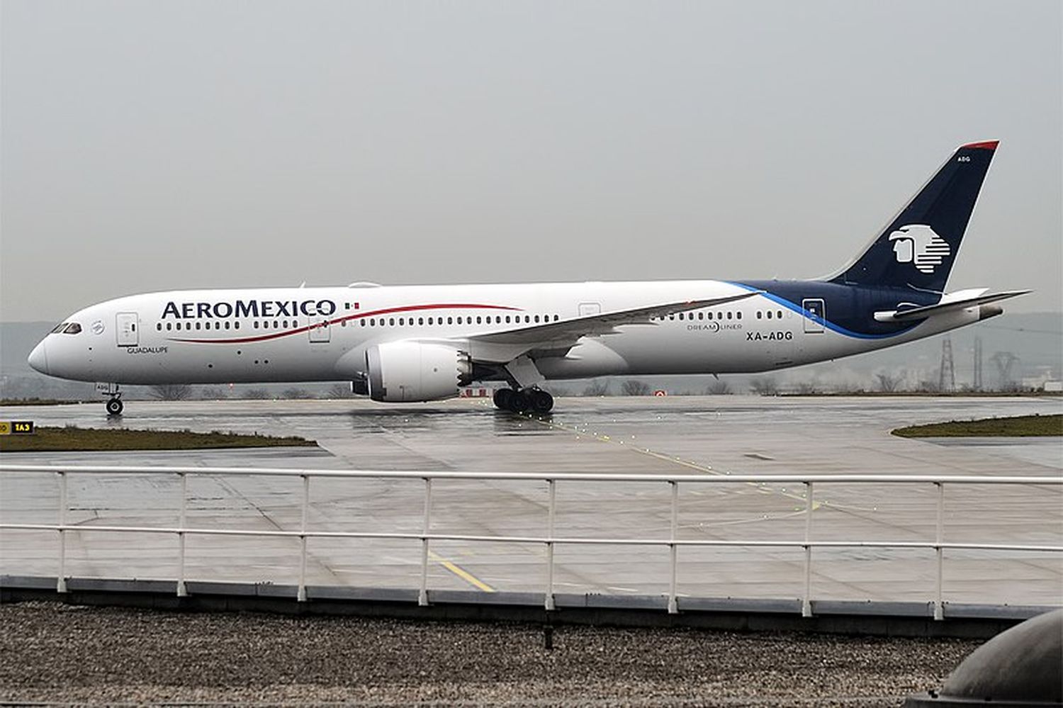 Aeroméxico ya realizó 200 vuelos especiales de carga