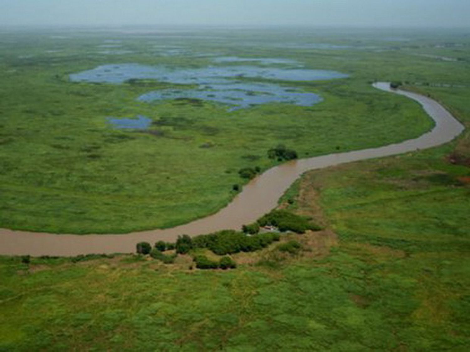 Instan a las autoridades a mejorar la gestión ambiental