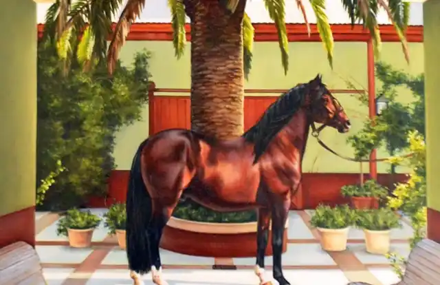 El Hogar de Niños lanzó un bono contribución
