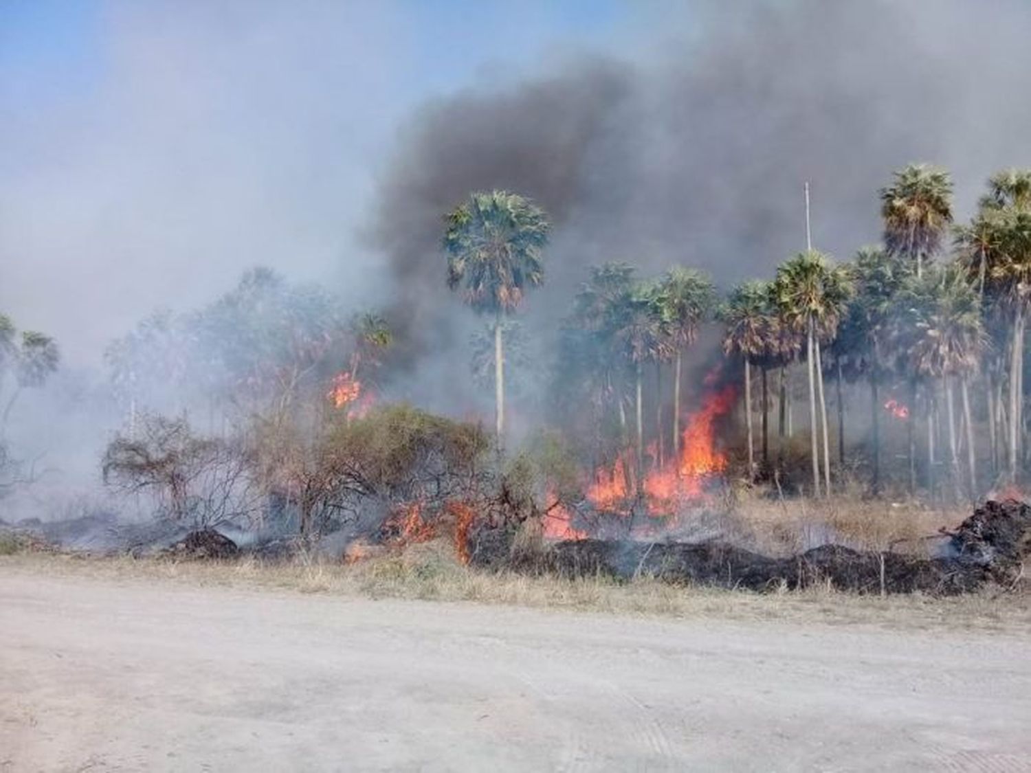 Evalúan daños causados a la producción por el déficit hídrico y los incendios