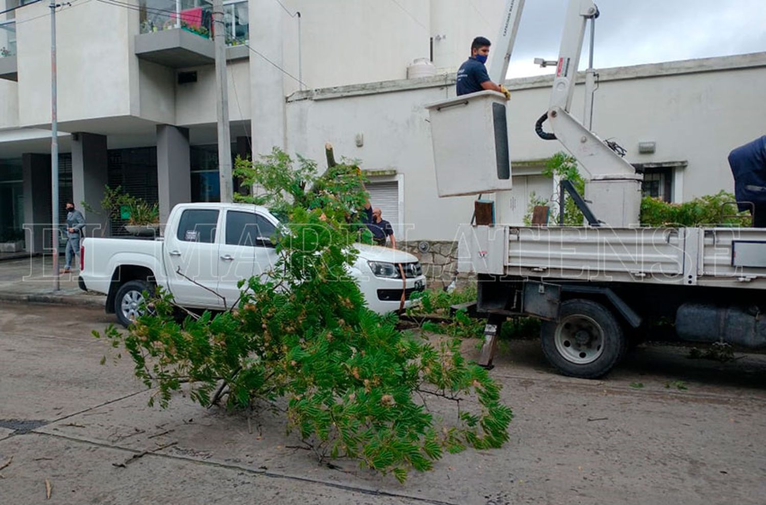 Temporal en Mar del Plata: "Hemos tenido más de 100 reclamos y aún queda mucho trabajo por hacer"