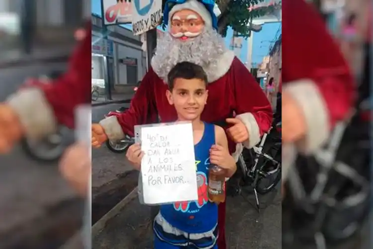 El mensaje de Bruno: “Ola de calor, den agua a los animales”