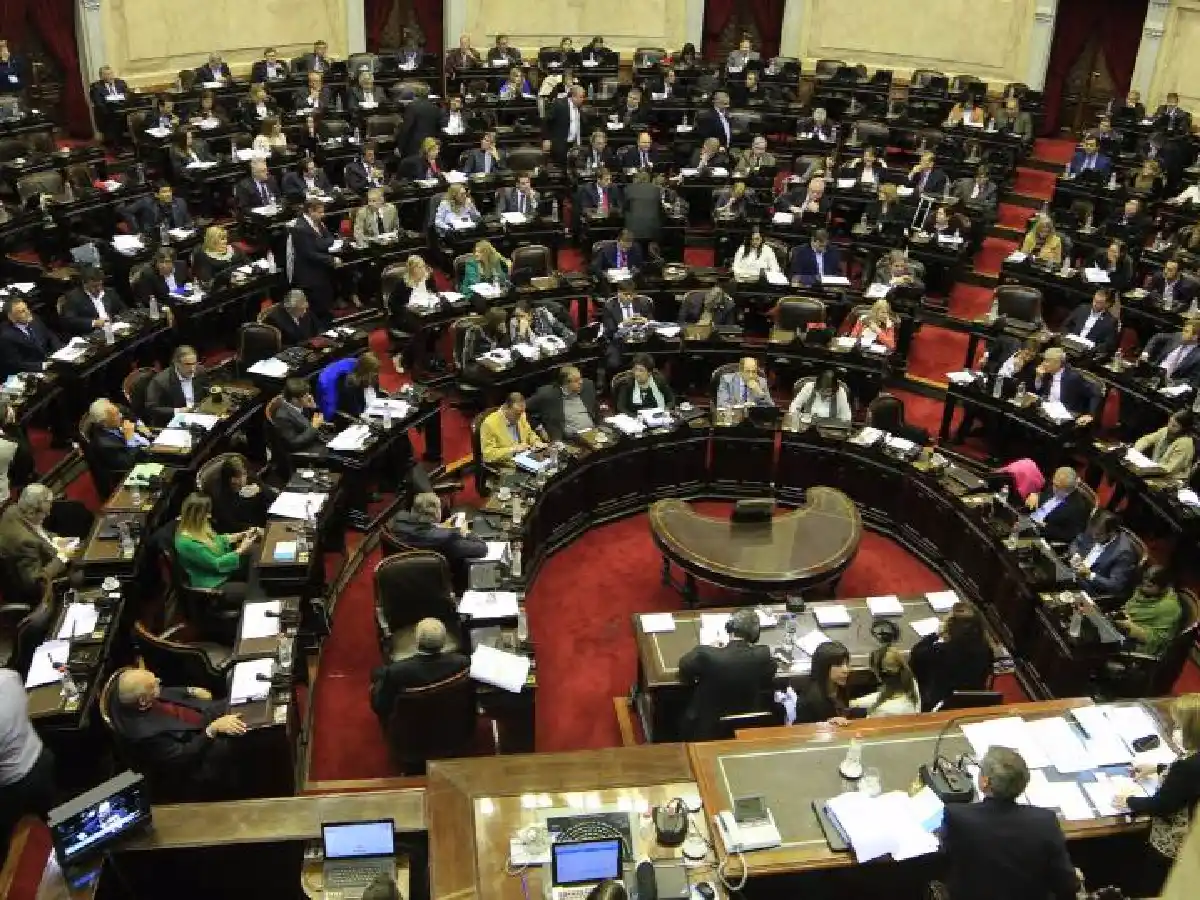 Presupuesto: se votará en general y en particular en una sola vez