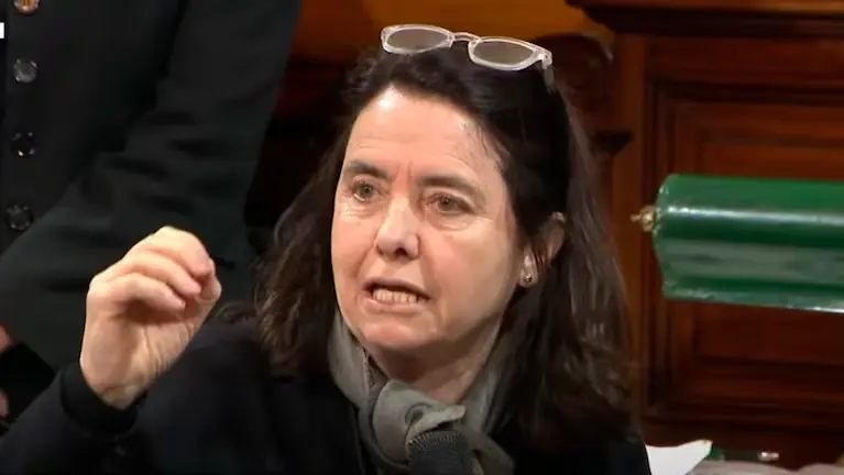 La polémica fue desatada por la senadora cordobesa Carmen Álvarez Rivero.