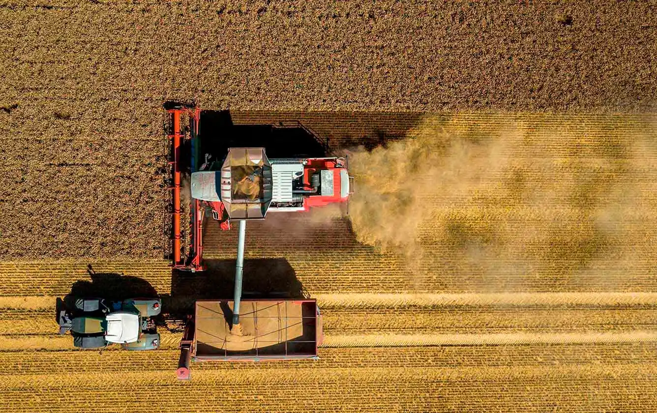 Uno de cada cinco “goles” de la economía argentina los mete el agro