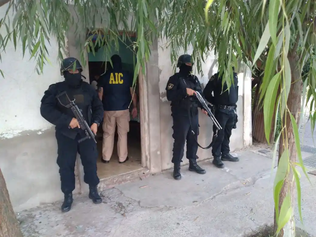 En un allanamiento secuestraron aves exóticas