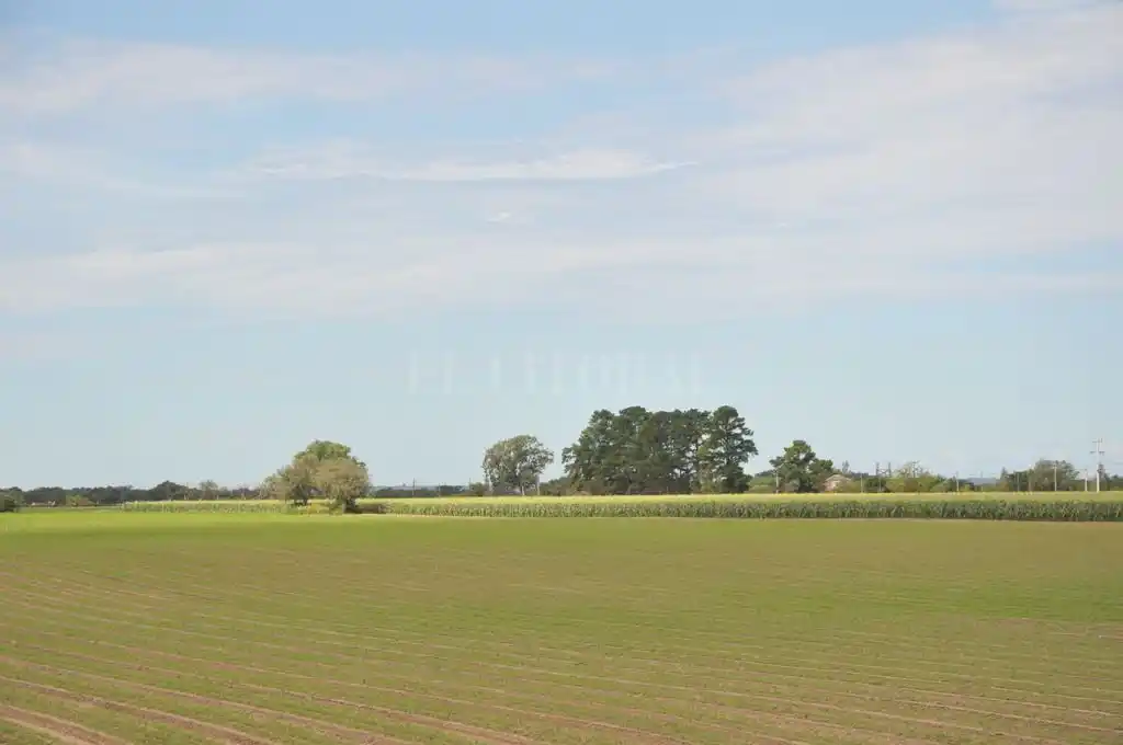Tiempo estable y aumento de la temperatura en la región núcleo