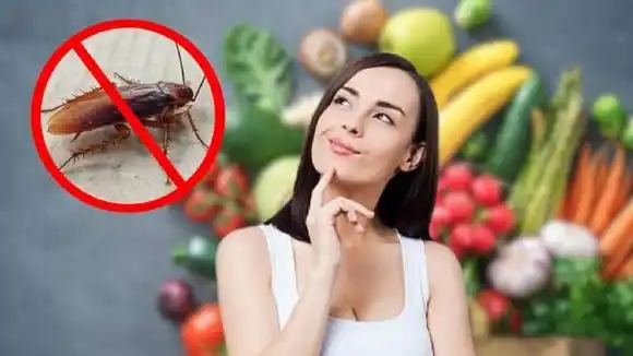 Despídete de las cucarachas con esta una verdura que seguro tienes en tu cocina