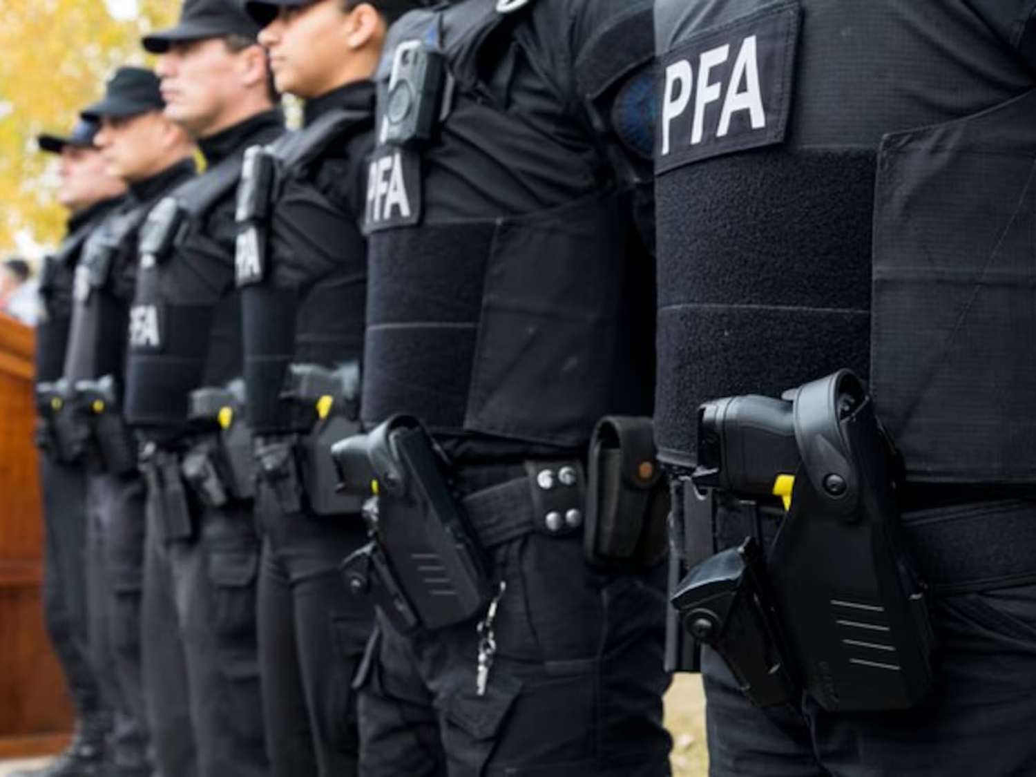 El Gobierno oficializó un nuevo estatuto para la Policía Federal