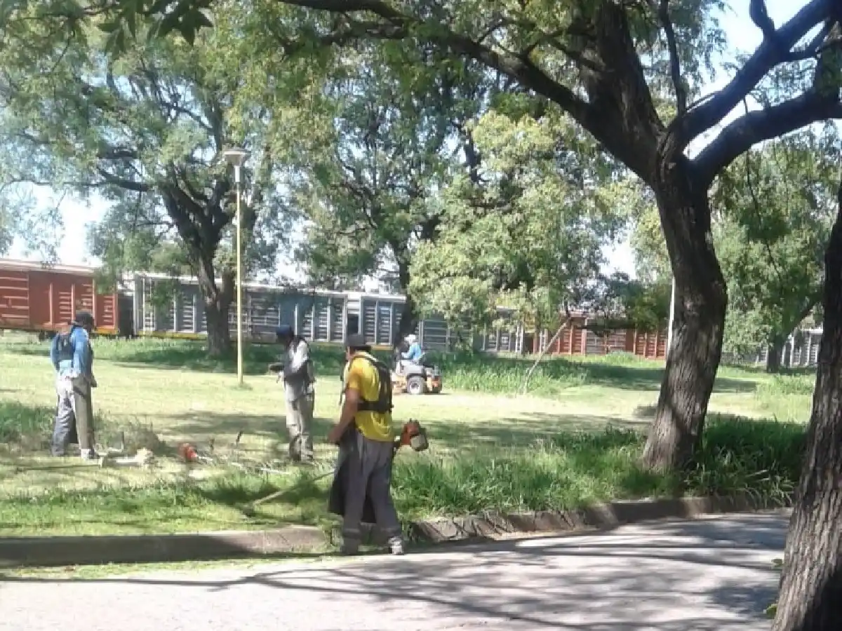 Continúa el mantenimiento de espacios verdes en la ciudad