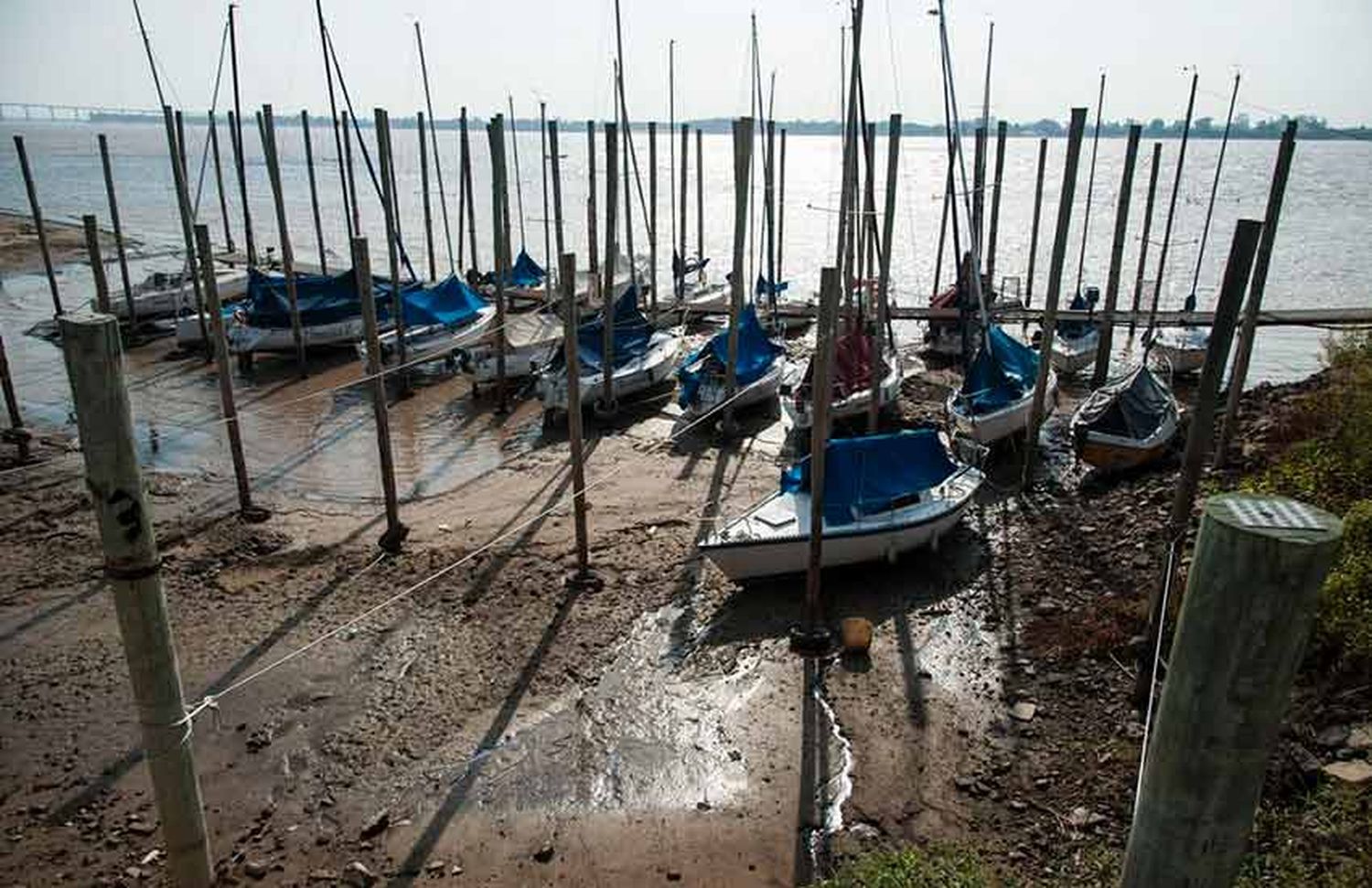 Alerta por la bajante del río: cómo serán los cruces a las islas durante este verano