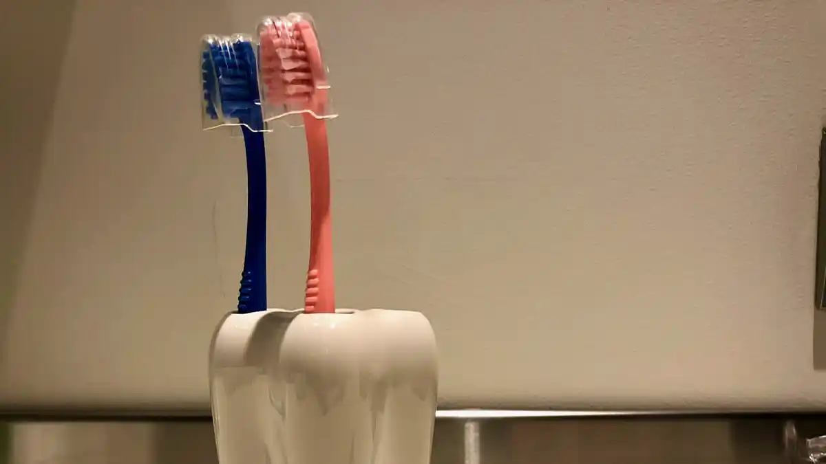 «BACTERIÓFAGOS»: lo que escoden los cepillos de dientes y cabezales de la ducha