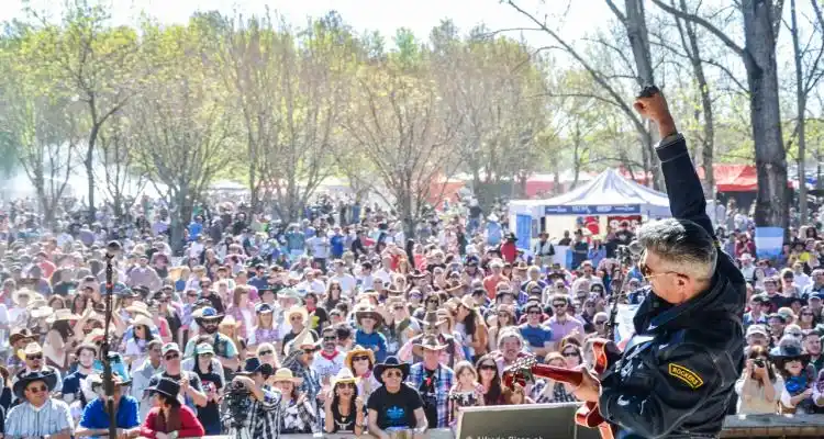 El Country Music Festival llega al cine