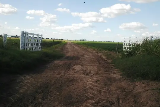 Los inmuebles rurales, al final, quedan eximidos de Bienes Personales