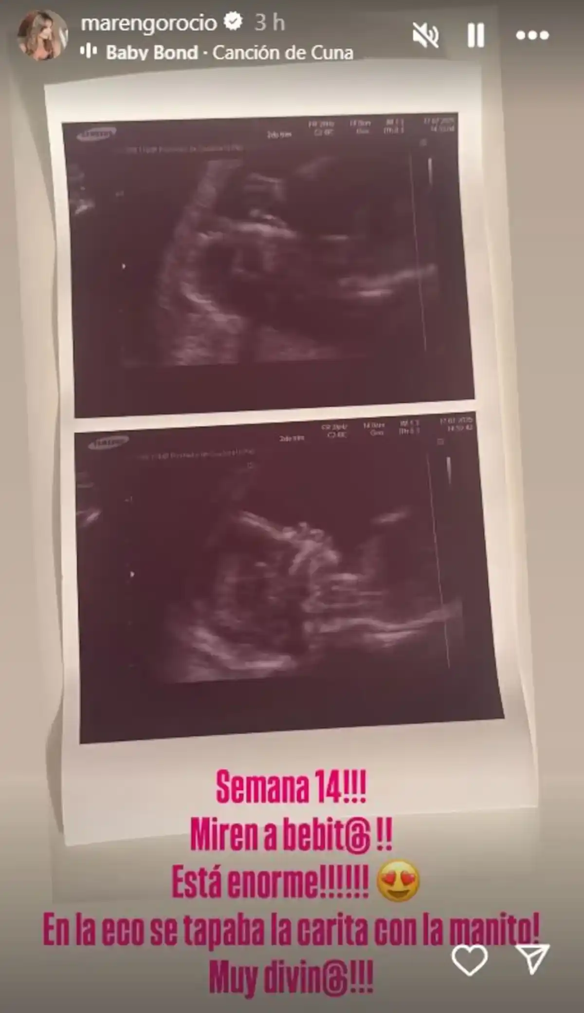 rocio marengo embarazada - 2