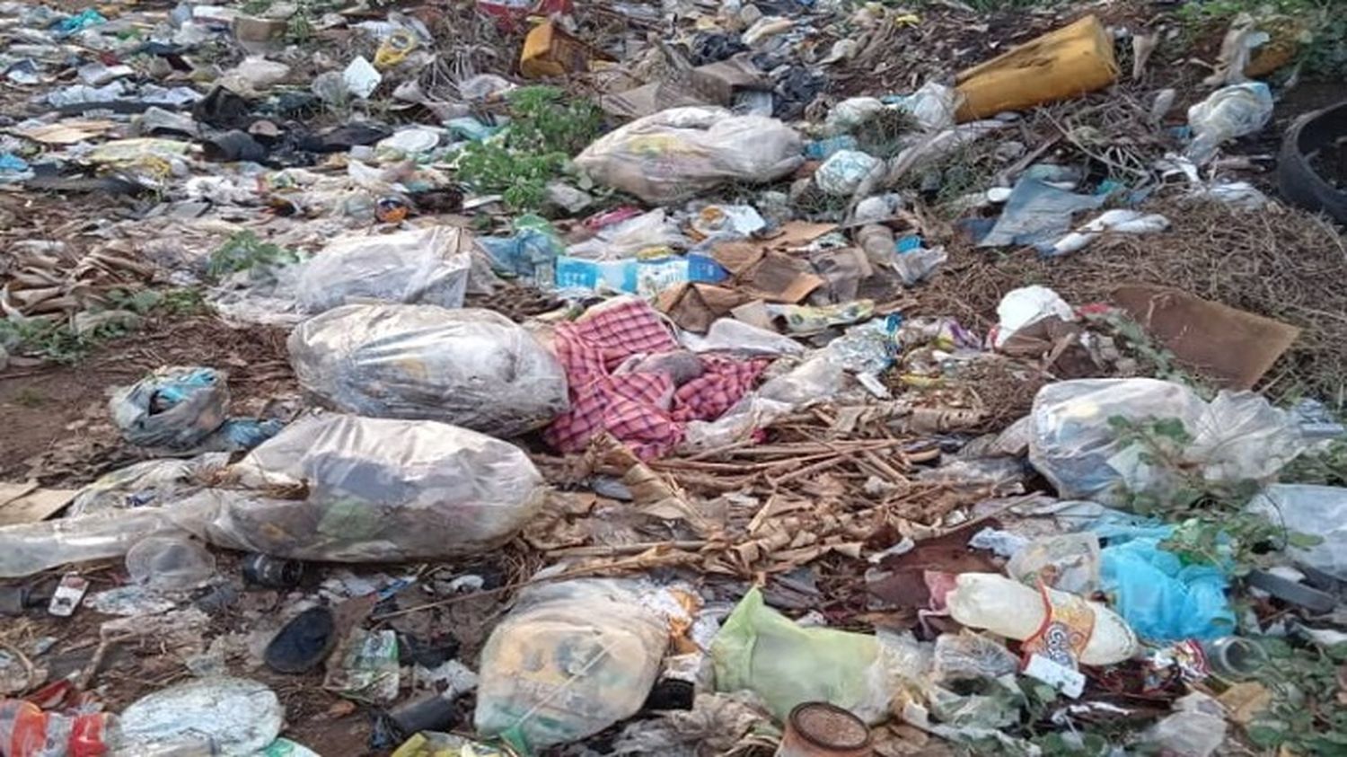 HALLAN CADÁVER DE RECIÉN  NACIDA en Barcelona: la metieron en una bolsa de basura
