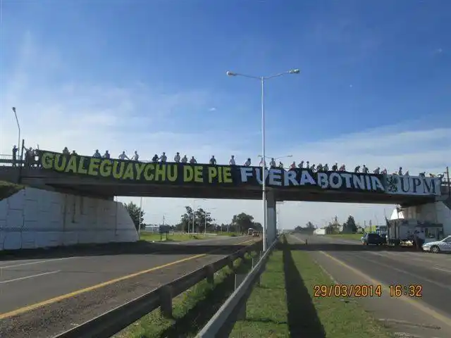 La lucha contra la pastera continúa