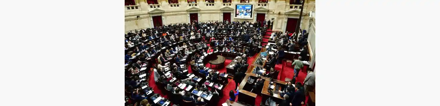 Con holgura, ambos vetos fueron rechazados en Diputados y ahora se discutirán en el Senado.
