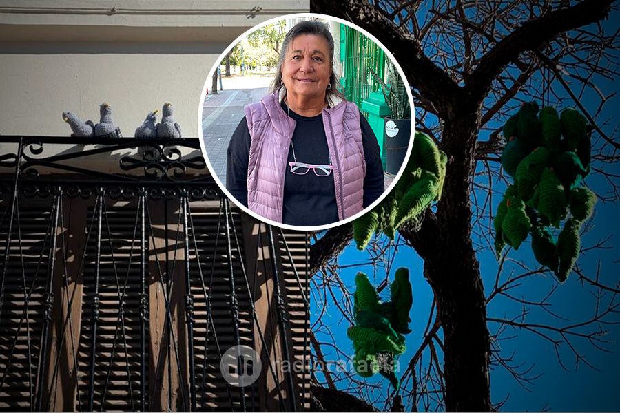 Delfina Barreiro - Integrante de Bomba de Lana | Los árboles de Rafaela se llenaron de aves tejidas en una nueva intervención