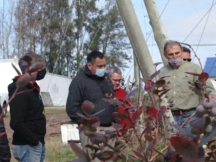 El presidente del SENASA visitó quintas de arándanos en Concordia