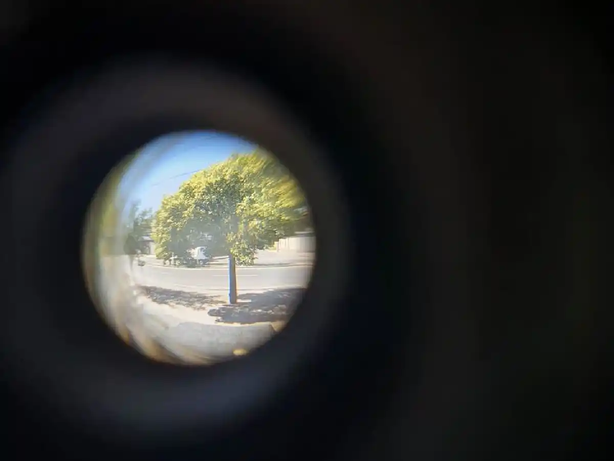 Asomarse de a poco y contener a los niños, entre las recomendaciones a la salida de la cuarentena