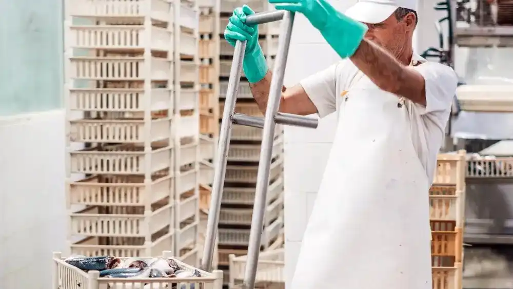 Un trabajador de la industria del pescado.
