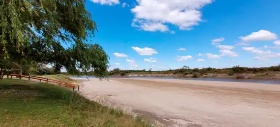 Alerta en el río Gualeguay por presencia de pirañas y palometas