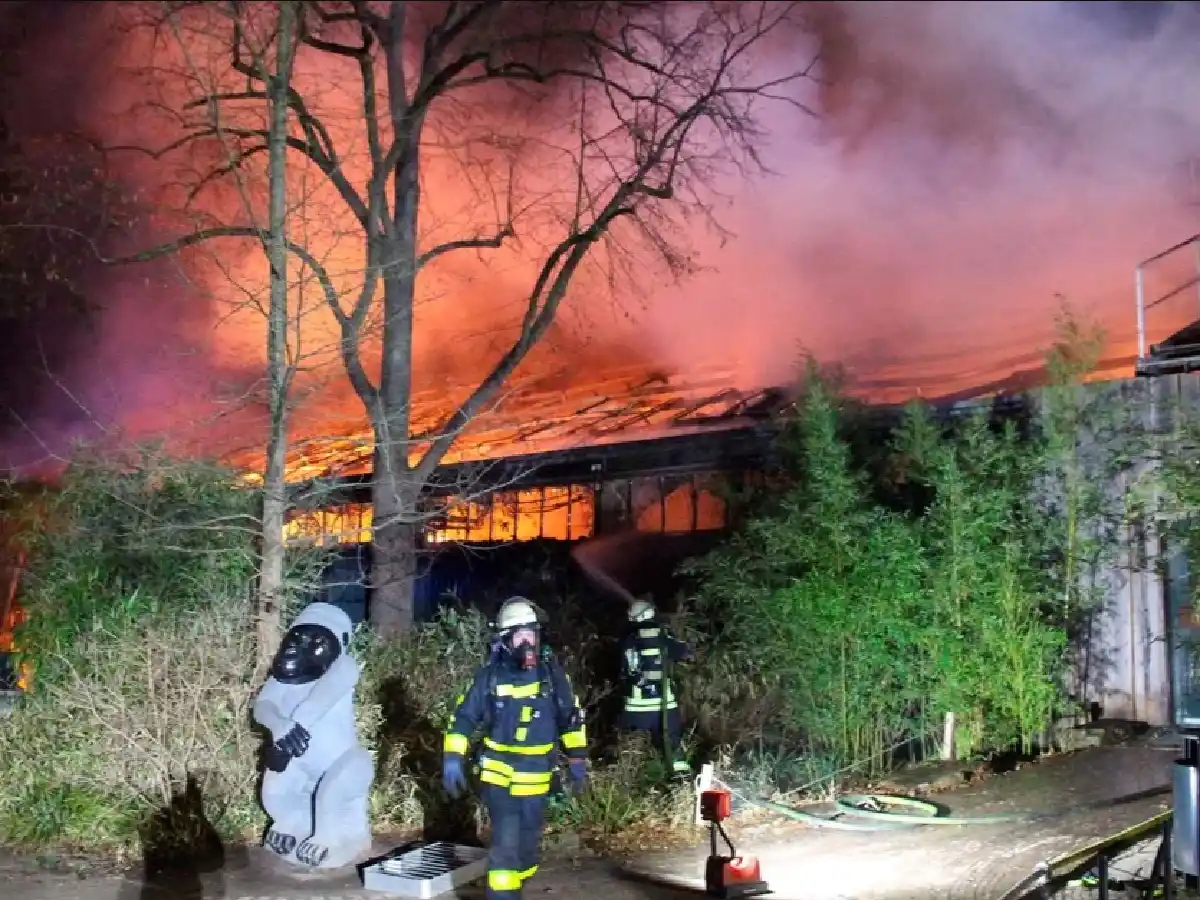 Murieron más de 30 animales tras un incendio causado por fuegos artificiales en un zoológico 