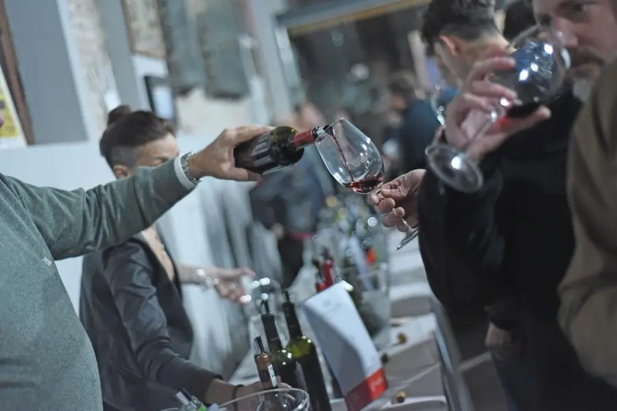 VIDEO | La 1° Feria del Vino de Rafaela fue un total éxito: “Estamos muy contentos porque ha respondido el público”