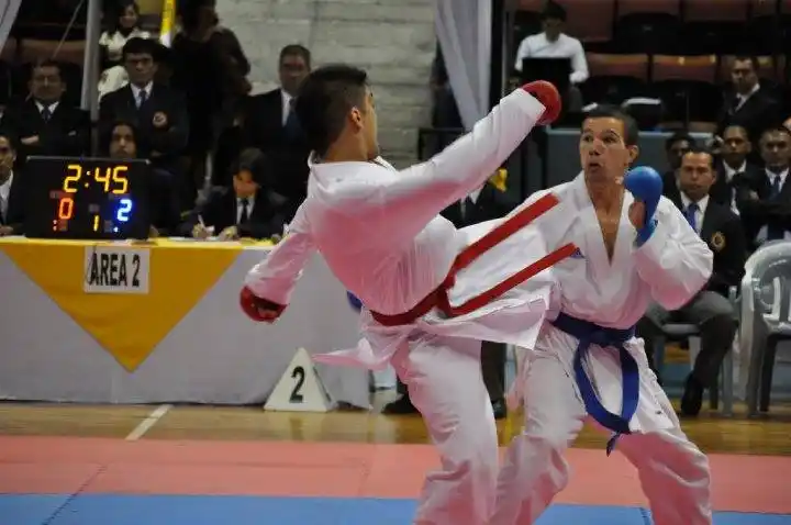El único caballero