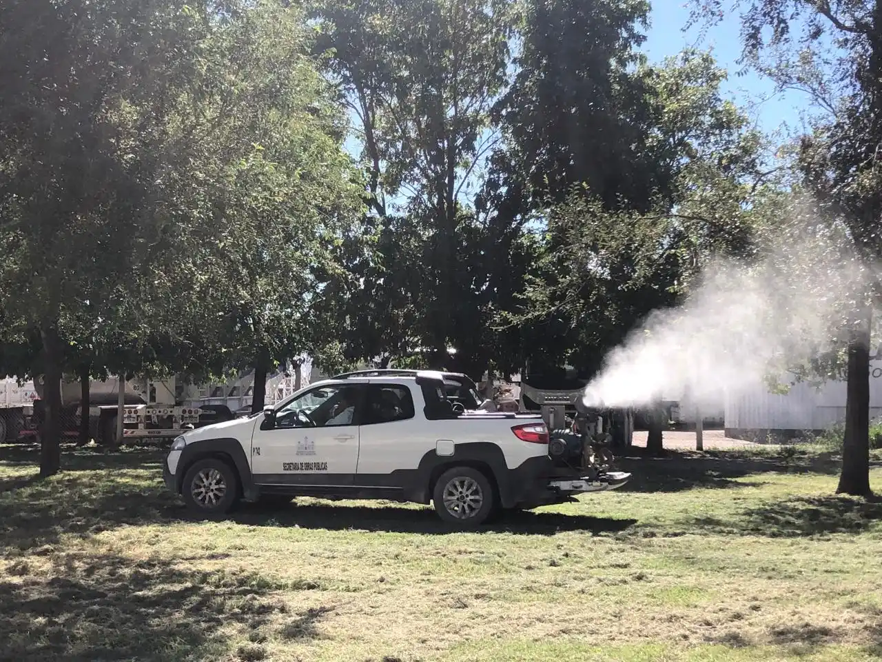 Mosquitos: realizan trabajos de fumigación en espacios verdes