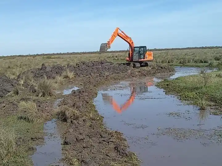 octavo - campo portugués