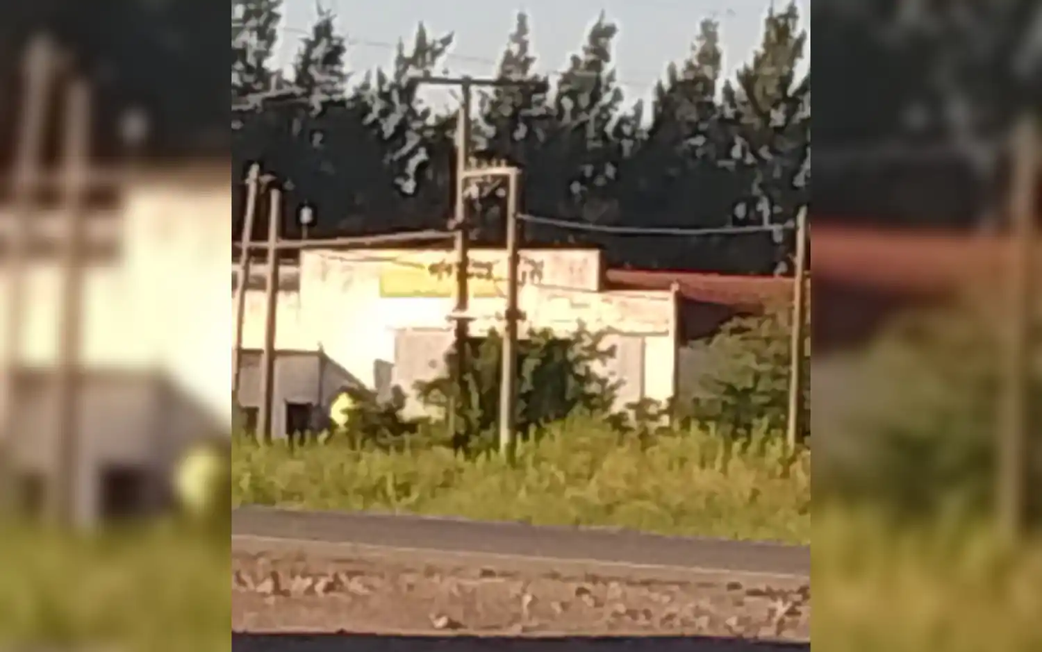 Insólito: robaron un transformador de Coopser en ruta 1001 y hay sectores sin luz