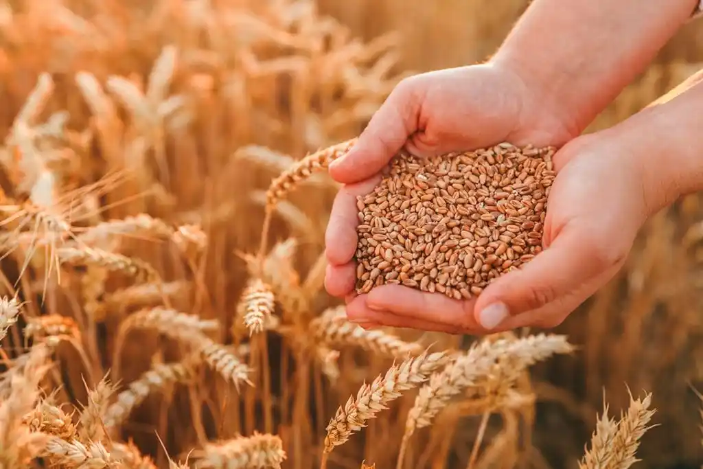 El beneficio se va a extender por nueve meses, destacó Caputo.