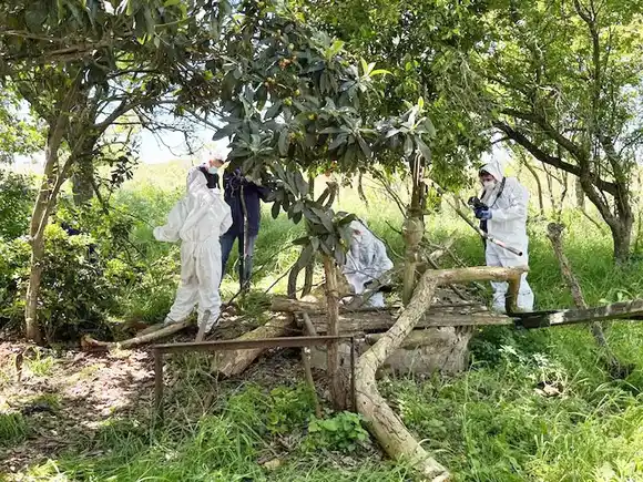 Giro en la causa del femicidio de Daiana Mendieta en Entre Ríos