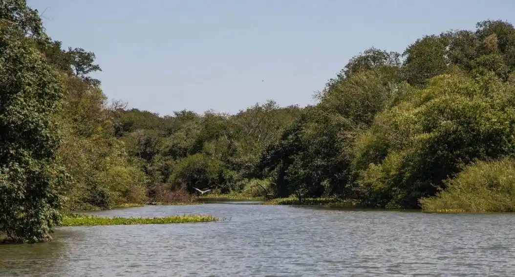 Impulsan un nuevo parque provincial en las islas del río Uruguay