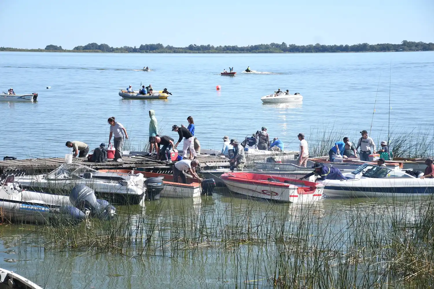 “La laguna de Chascomús vive uno de sus mejores momentos para la pesca deportiva”