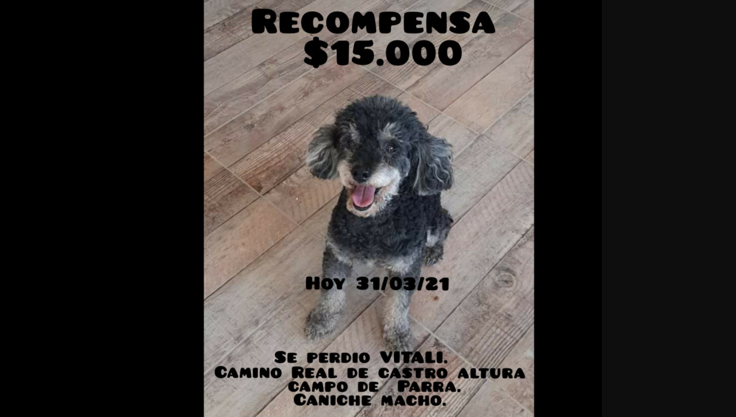 Buscan a Vitali